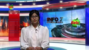 BIAYA OPERSIONAL TINGGI, PETANI BONGKAR POHON APEL