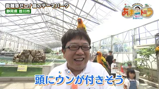 【100種類600羽以上！】鳥とふれあえるテーマパーク 掛川花鳥園（静岡県掛川市）【あまドラ～天野っちのドライブしよう！！～】