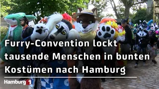 Eurofurence Convention 2026: Tausende Menschen der Furry-Szene feiern wieder in Hamburg