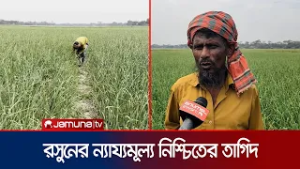 শরীয়তপুরে লক্ষ্যমাত্রার চেয়েও রসুনের আবাদ বৃদ্ধি; লাভের প্রত্যাশা | Shariatpur | Jamuna TV