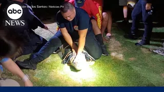 Florida woman killed after alligator attack in 3 feet of river water