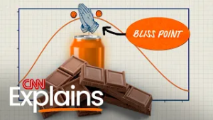 What makes some foods so addictive