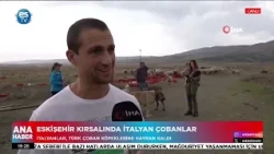 Italian shepherds in the countryside of Eskişehir!