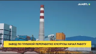 Deep corn processing plant begins operations