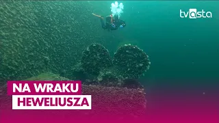 Polam light bulbs on the Heweliusz. Greater Poland firefighters searched the wreck