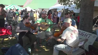 50th annual Common Ground Country Fair sees record-breaking turnout