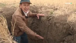 PRO AGRO | Agricultural Science vs. Drought: The Formula for a Successful Harvest - 10/16/2026
