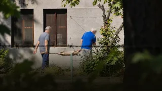 SKANDALOZNO: Bivši kućepazitelj peče ajvar i prase u Botaničkoj bašti i živi u Zemaljskom muzeju BiH