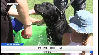 Wagging Tail Therapy