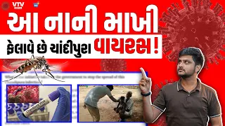 Chandipura Virusનો ખતરો ફરી વધ્યો! તમારા બાળકને બચાવવા આટલું કરો | Daily Dose