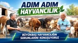 WE ARE DISCUSSING THE PROBLEMS OF CATTLE FARMING | CATTLE FARMING STEP BY STEP