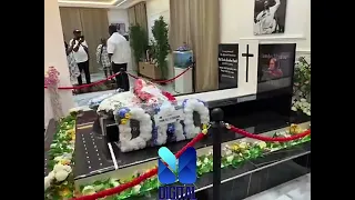 WATCH: Lumba"s final resting place revealed