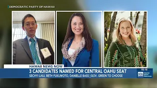 3 candidates to be considered for District 18 seat