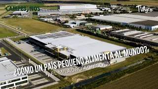 ¿Cómo un País Pequeño Alimenta al Mundo? El Milagro Agrícola- TvAgro por Juan Gonzalo Angel