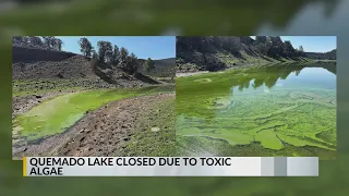 Quemado Lake closed due to toxic algae
