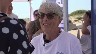 Biodiversity, Legambiente continues its commitment to protecting sea turtles - Canale 10