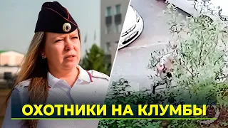 Unscrupulous Yamal residents are ruining flower beds