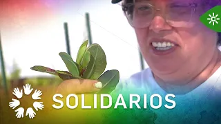 Solidarios | Disability and integration, 25 years of AHIGE and theater with a hat