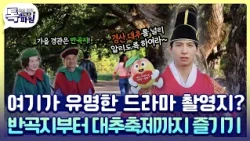 🌳 대추나무 사랑걸렸네! 경산에서 가을 감성 제대로 즐기기 🍁