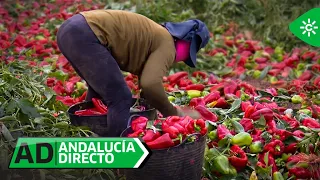 Andalucía directo | Jueves 27 de agosto