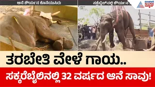Sakrebailu Elephant Death: ಸಕ್ರೆಬೈಲು ಆನೆ ಬಿಡಾರದಲ್ಲಿ ಚಿಕಿತ್ಸೆ ಫಲಿಸದೆ 'ಶೌರ್ಯ' ಆನೆ ಸಾವು! | Suvarna News