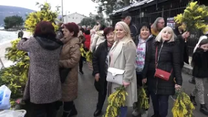 TV Informator  - FESTIVAL MIMOZE HERCEG NOVI 19 2 2026