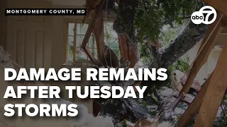 Parts of the D.C. region left to clean up after storms sweep across region Tuesday evening