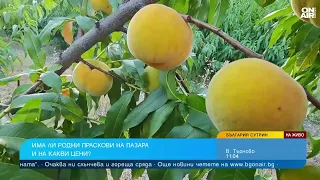 Изкупната цена на прасковите пада, а разходите растат, предупредиха производители