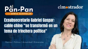 Exsubsecretario Gabriel Gaspar: cable chino “se transformó en un tema de trinchera política"