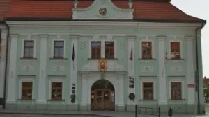 Záznam zasadnutia Mestského zastupiteľstva v Skalici 23.2.2022 formou videokonferencie