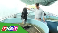Eel Farming Using Recirculating Aquaculture Systems | Agricultural Knowledge - 10/18/2026 | THDT