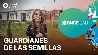Once Lab - Guardians of the Seeds (07/11/2026)
