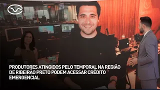 Farmers affected by storms in the Ribeirão Preto region can access emergency credit