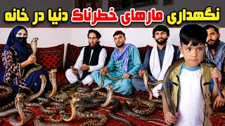 Keeping dangerous snakes at home / نگهداری مارهای خطرناک در خانه، گزارش فرشته عظیمی