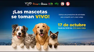 EXPOMASCOTAS 2026 is coming | Canal 1 - The Channel of Ñuble