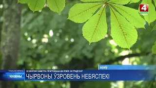 Красный уровень опасности объявлен на Гомельщине