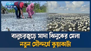 কুয়াকাটা সৈকতে সাদা ঝিনুকের সমারোহ, মুগ্ধ পর্যটক | Kuakata Jhinuk | Ekushey TV