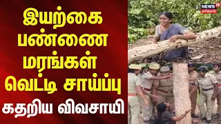 Kallakurichi | Tree | இயற்கை பண்ணை மரங்கள் வெட்டி சாய்ப்பு - கதறிய விவசாயி | News18Tamilnadu