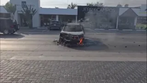 ‘It was like a war zone,’ retiree says after violence erupts in Puerto Vallarta