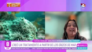 8AM - Tamara Rubilar y el tratamiento desarrollado a partir de erizos de mar