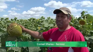 Agro TV News 07/29/2026 P1