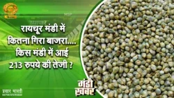 Mandi News: How much did pearl millet fall in Raichur mandi, and which market saw a ₹213 rise? | ...