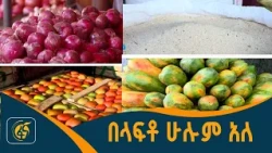 የአትክልትና ፍራፍሬ ገበያ በላፍቶ ሁለገብ የገበያ ማዕከል