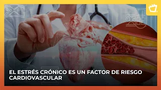 Factors That Can Put Your Cardiovascular Health at Risk
