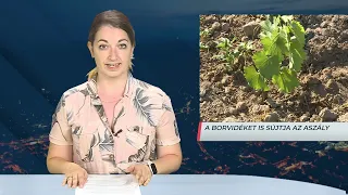 Híradó – 2026.07.01. – Szerda – Sopron TV