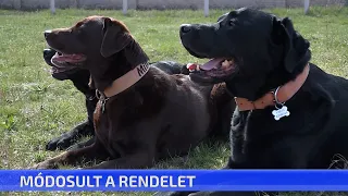 Módosult a rendelet