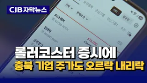 롤러코스터 증시에 충북 기업 주가도 '오르락 내리락'