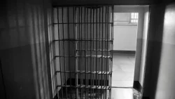 Prosecution seeks up to 22 years in prison for five members of the international Los Chalinos net...
