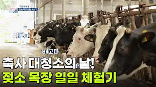 [직업의 세계] 축사 대청소의 날! 젖소 목장 일일 체험기 [생방송 굿모닝 대한민국] | KBS 260730 방송