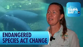 Trump administration set to remove 'harm' from Endangered Species Act